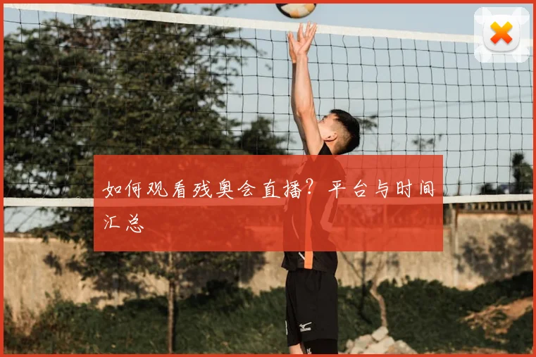 篮球明星:从草根到巨星的励志故事