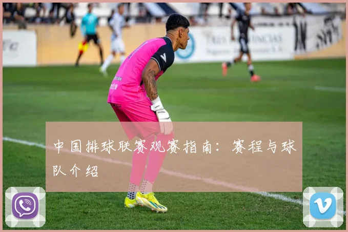 中国排球联赛观赛指南：赛程与球队介绍
