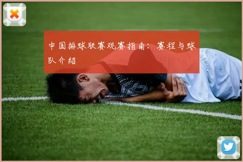 中国排球联赛观赛指南:赛程与球队介绍